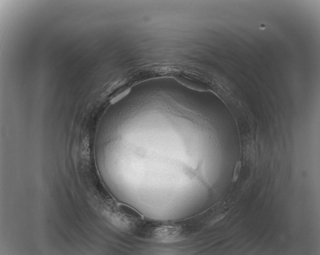 X0000081300700200701181835