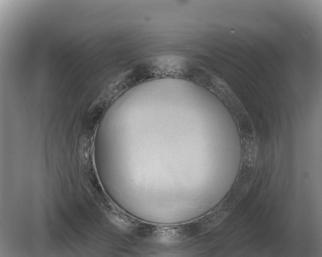 X0000081300701200701181835