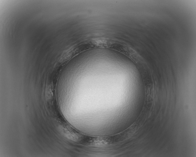 X0000081300702200701181835