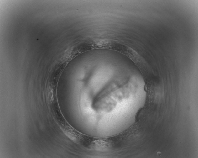 X0000081300703200701181835