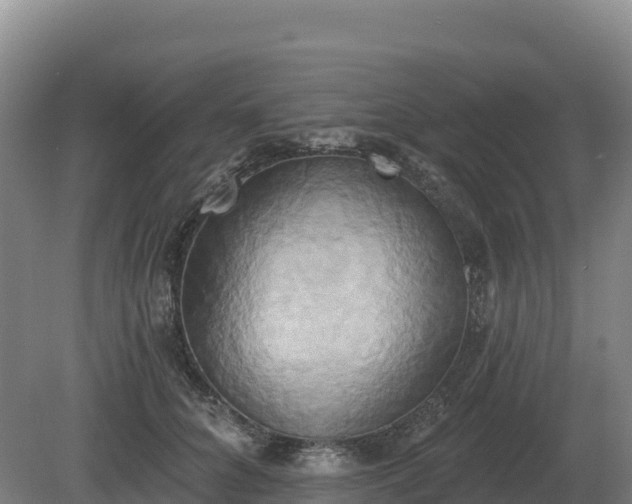 X0000081300704200701181835