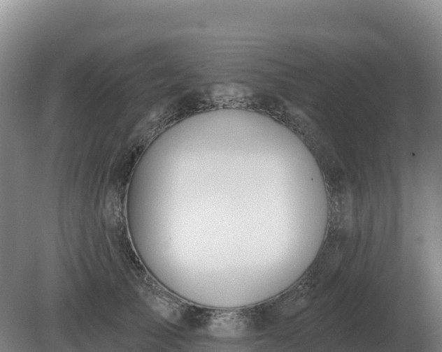 X0000081300705200701181835