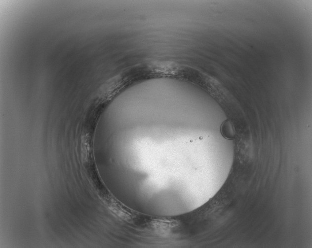 X0000081300707200701181835