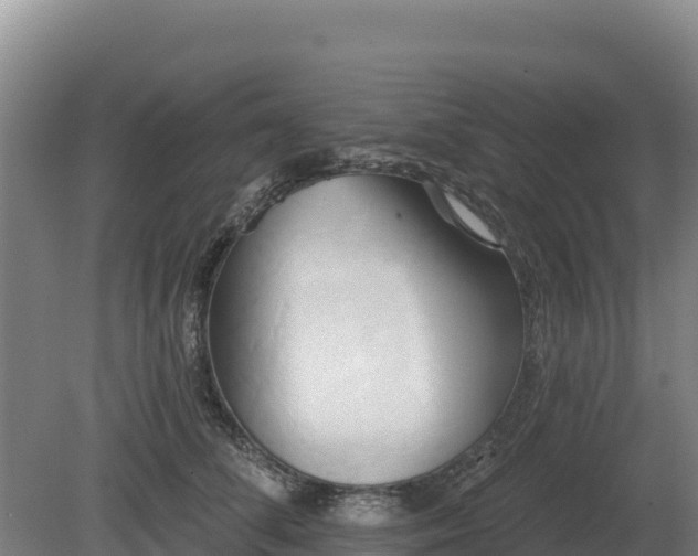 X0000081300708200701181835