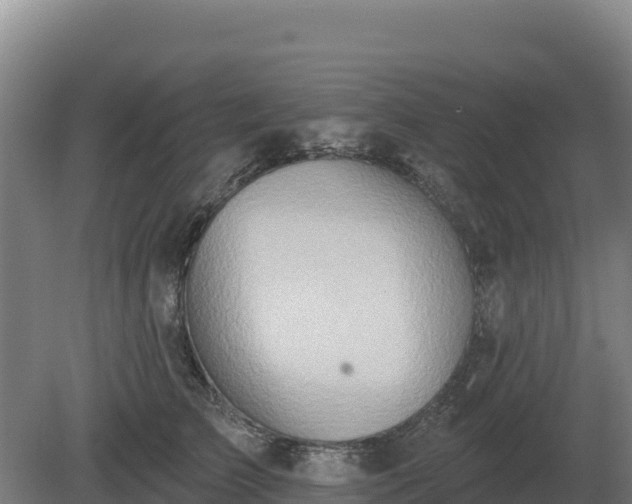 X0000081300709200701181835