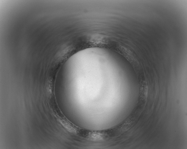 X0000081300710200701181835