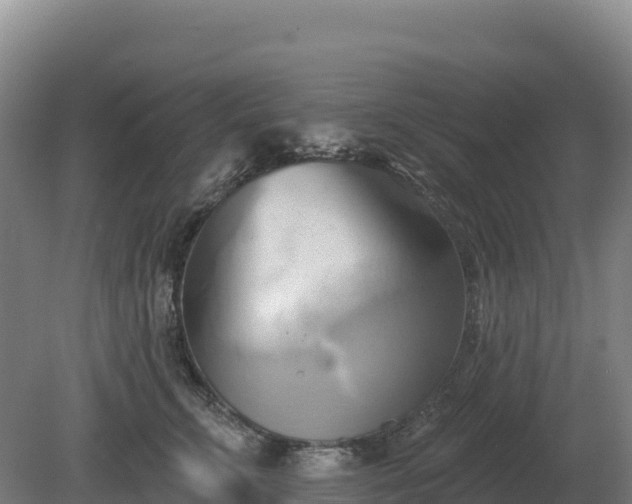 X0000081300711200701181835