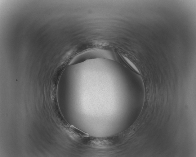 X0000081300712200701181835