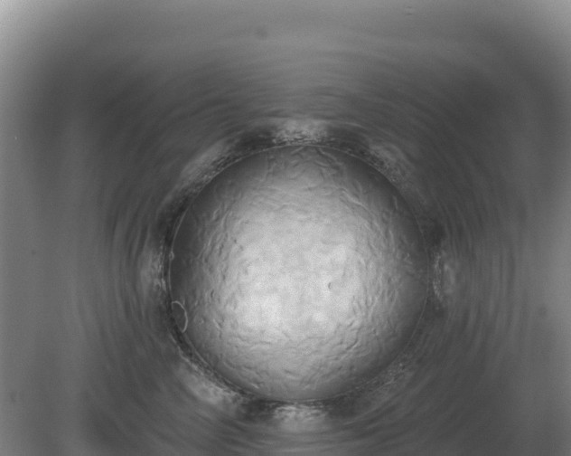 X0000081300714200701181835