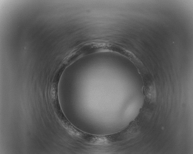 X0000081300715200701181835