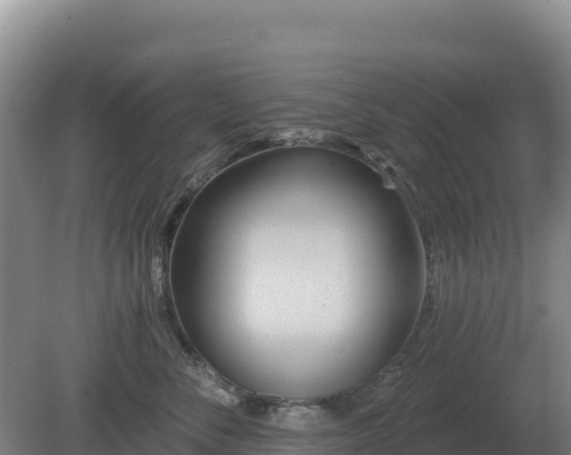 X0000081300716200701181835