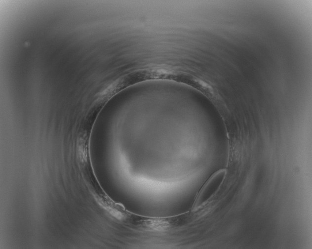 X0000081300719200701181835