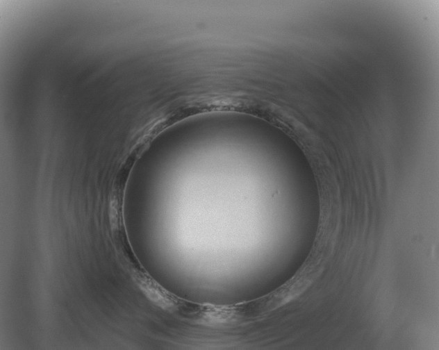 X0000081300720200701181835