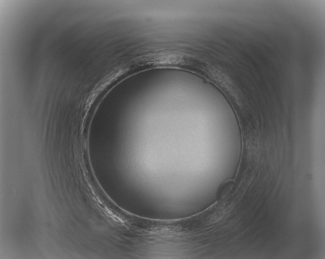 X0000081300721200701181834