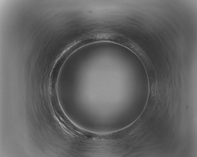 X0000081300722200701181834