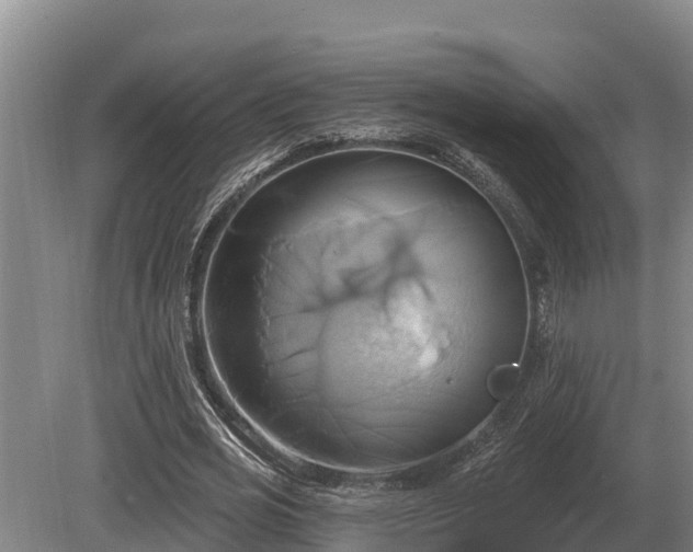 X0000081300725200701181834