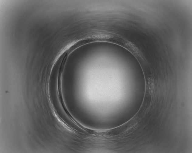 X0000081300726200701181834