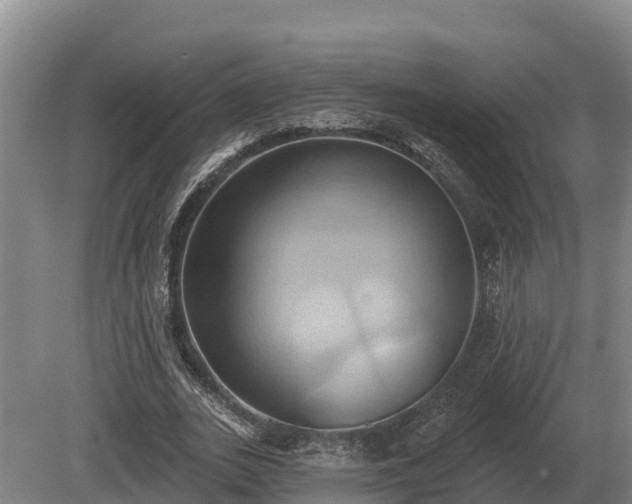 X0000081300727200701181834