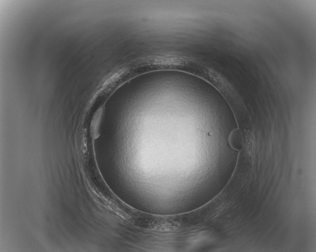 X0000081300731200701181834