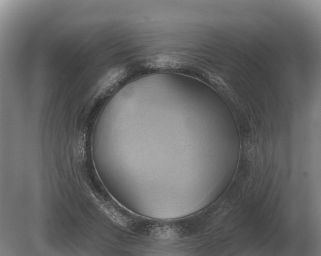 X0000081300735200701181835