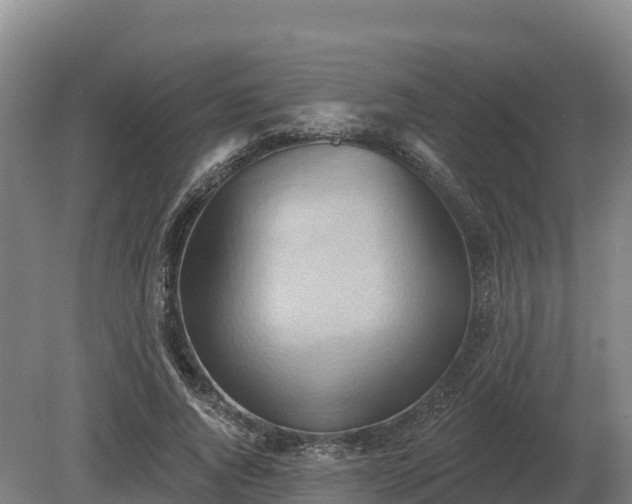 X0000081300736200701181835