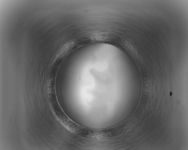 X0000081300738200701181835