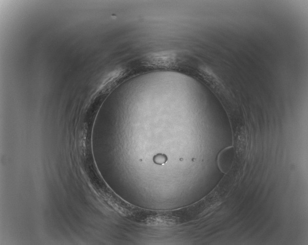 X0000081300739200701181835