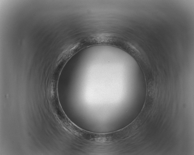 X0000081300740200701181835