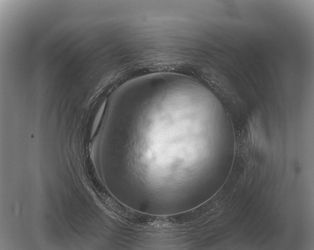 X0000081300742200701181835