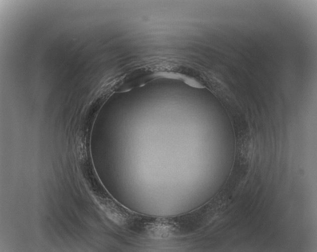 X0000081300743200701181835