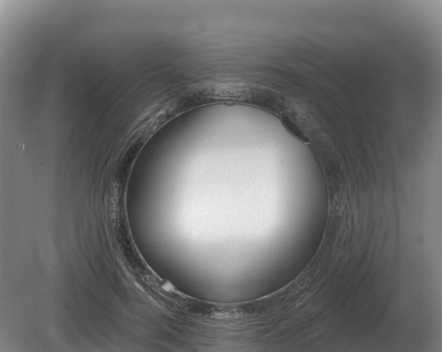 X0000081300744200701181835