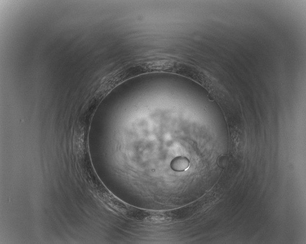 X0000081300745200701181835