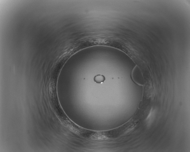 X0000081300747200701181835