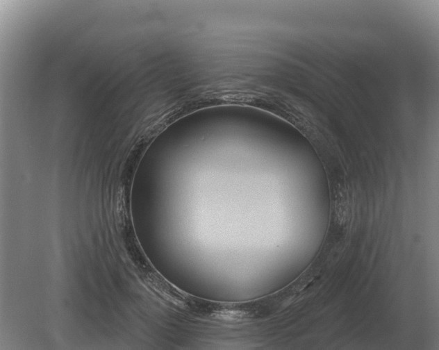 X0000081300748200701181835