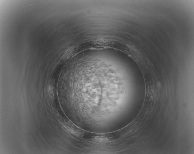 X0000081300749200701181835