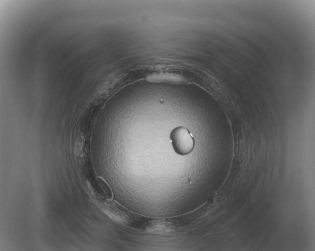 X0000081300750200701181835