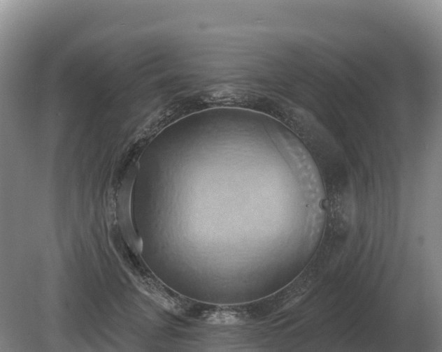 X0000081300751200701181835