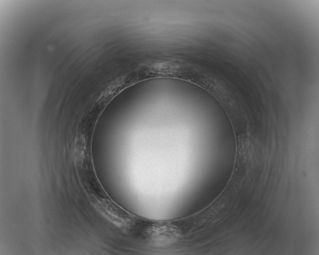 X0000081300752200701181835