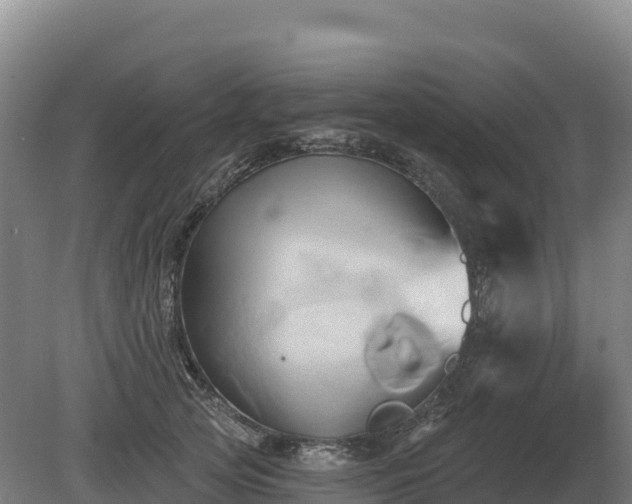 X0000081300753200701181835