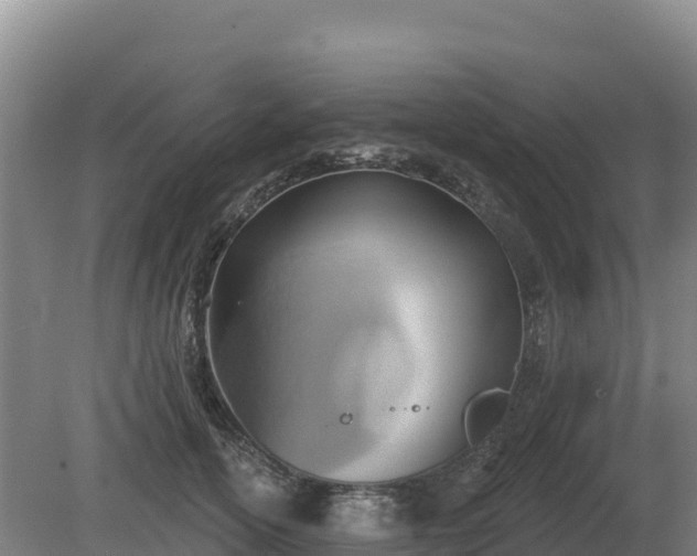 X0000081300754200701181835