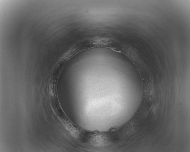 X0000081300755200701181835