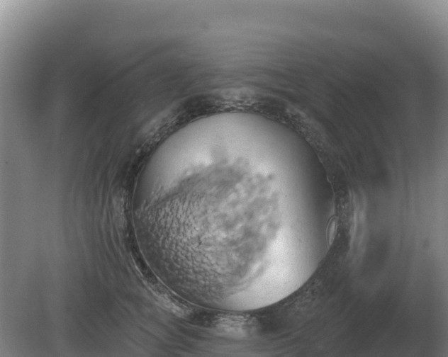 X0000081300757200701181835