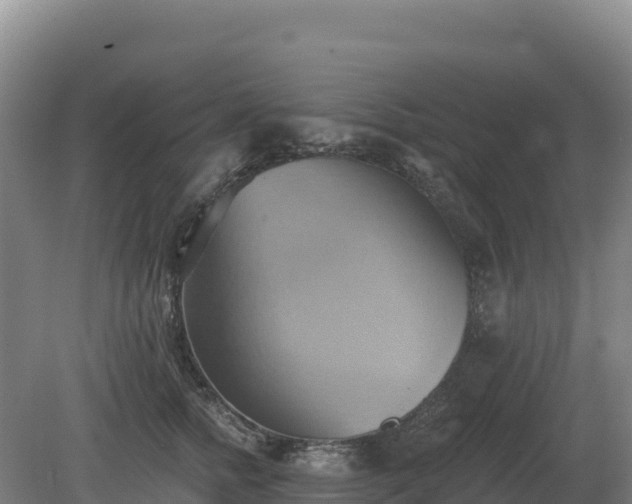 X0000081300758200701181835