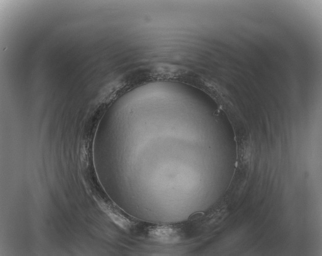 X0000081300759200701181835