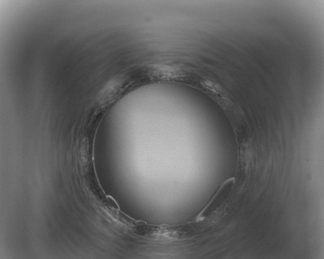 X0000081300760200701181835