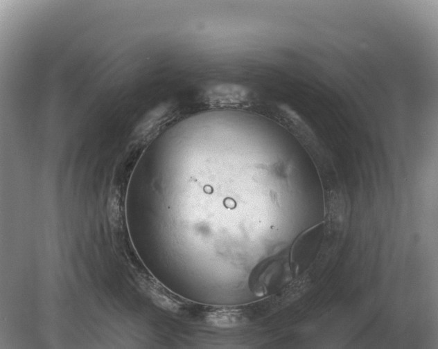 X0000081300761200701181835