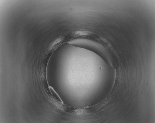 X0000081300762200701181835