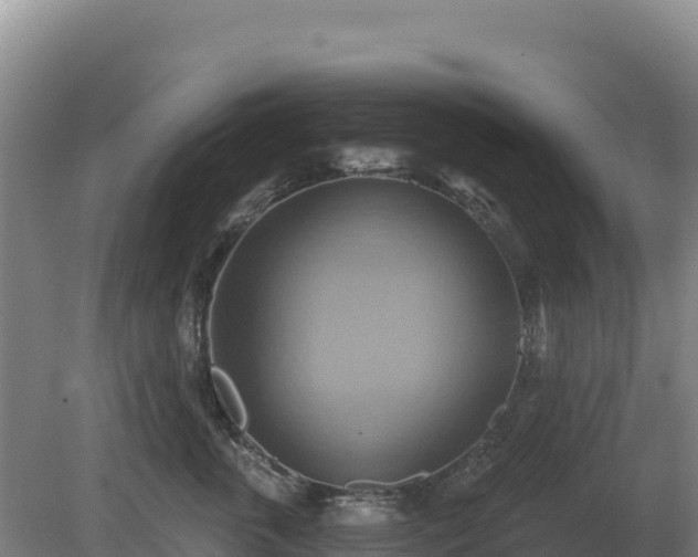 X0000081300763200701181835