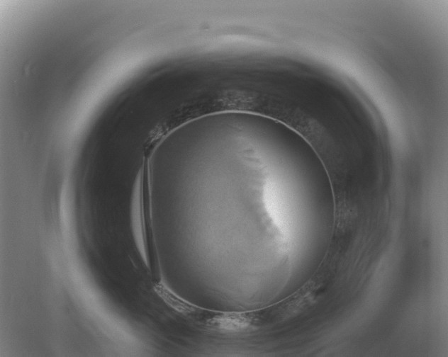 X0000081300765200701181835