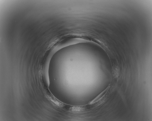 X0000081300766200701181835